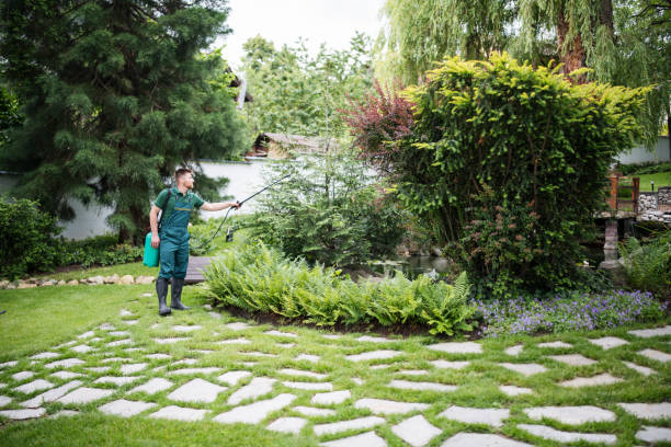 Best Ant Control Services  in Jacksonvle, IL