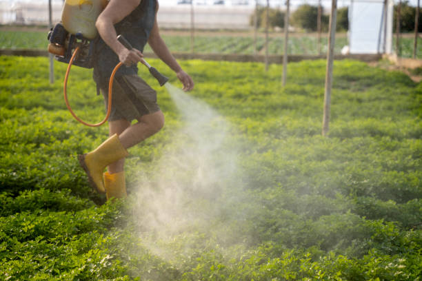 Best Wildlife Control Services  in Jacksonvle, IL