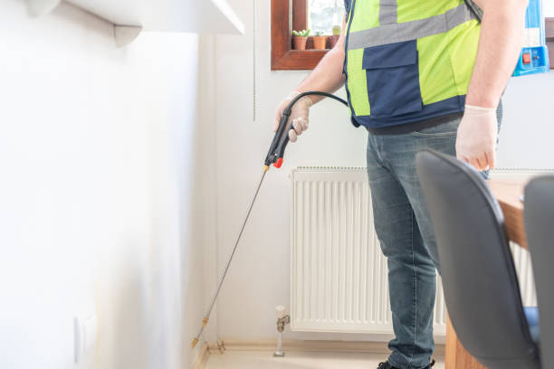 Best Flea Control Services  in Jacksonvle, IL