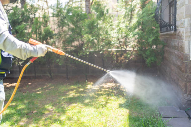 Best Pest Prevention Services  in Jacksonvle, IL
