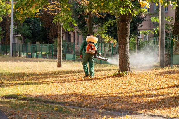  Jacksonvle, IL Pest Control Pros