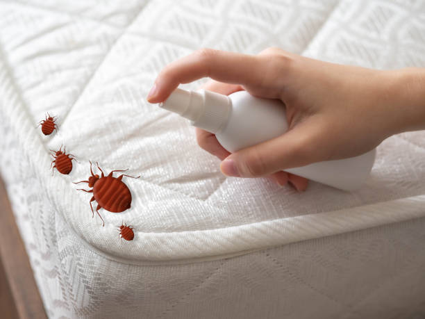 Best Commercial Pest Control Services  in Jacksonvle, IL