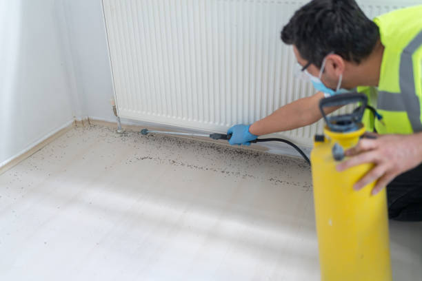 Best Best Pest Control Companies  in Jacksonvle, IL