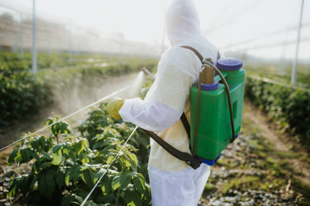 Best Pest Removal Services  in Jacksonvle, IL